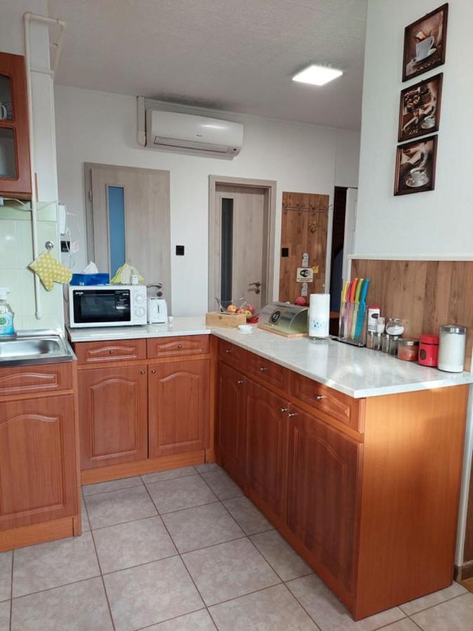 Nagcsalados Rozsa Apartman バラトンレッレ エクステリア 写真