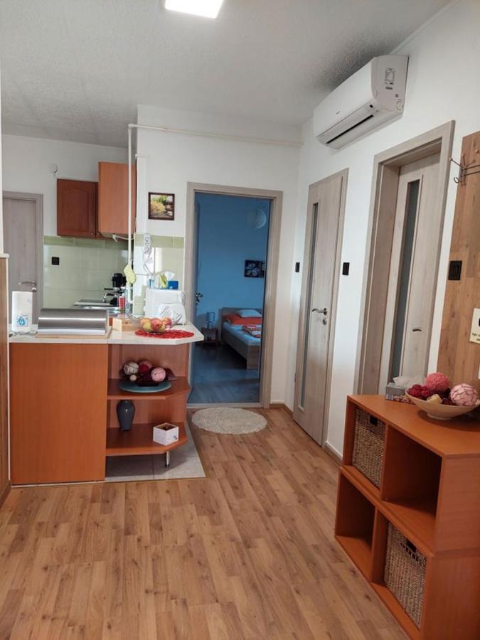 Nagcsalados Rozsa Apartman バラトンレッレ エクステリア 写真