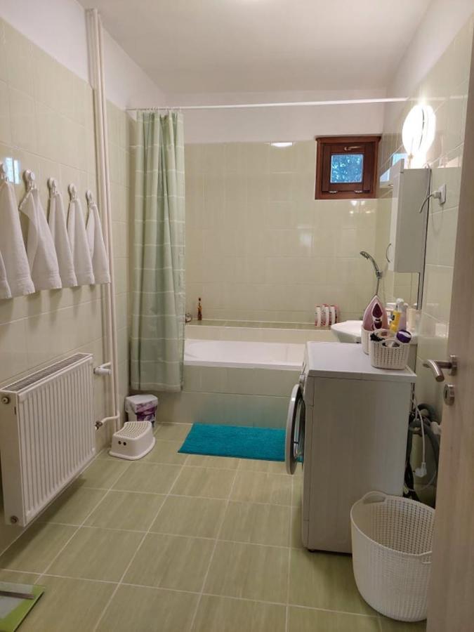 Nagcsalados Rozsa Apartman バラトンレッレ エクステリア 写真