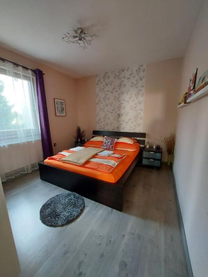 Nagcsalados Rozsa Apartman バラトンレッレ エクステリア 写真
