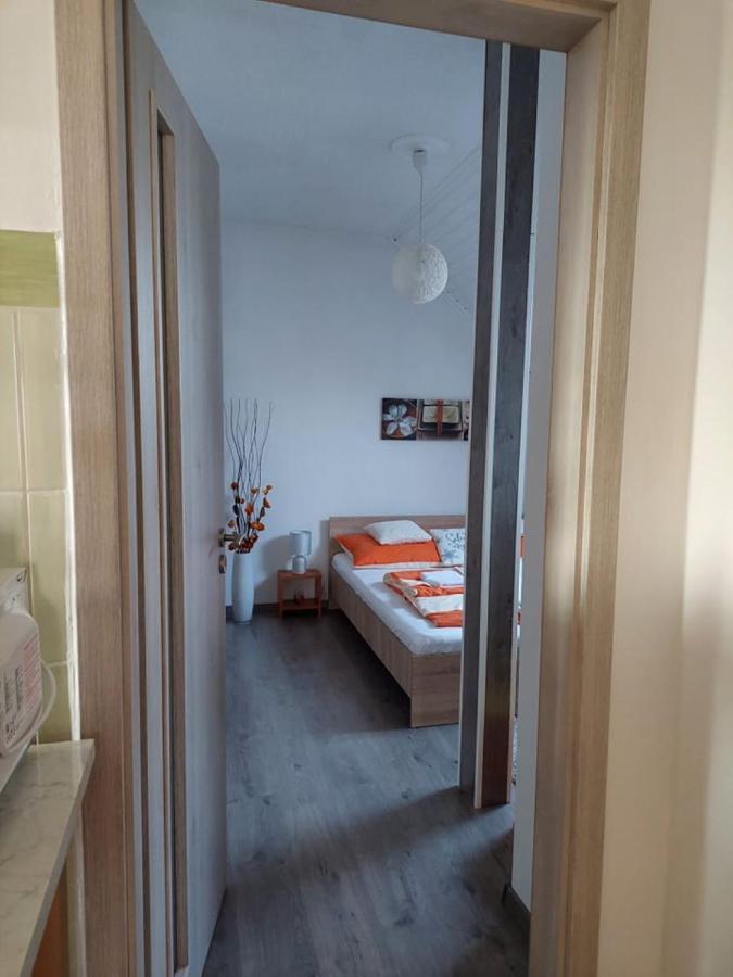 Nagcsalados Rozsa Apartman バラトンレッレ エクステリア 写真